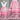 Lt. Pink Floral Overlay Satin Ribbon Skirt